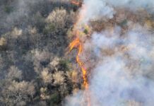 Φωτιά: Οι 7 περιοχές με υψηλό κίνδυνο πυρκαγιάς