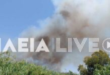 Φωτιά στο Βαρθολομιό Ηλείας – Μήνυμα του 112: «Παραμείνετε σε ετοιμότητα»