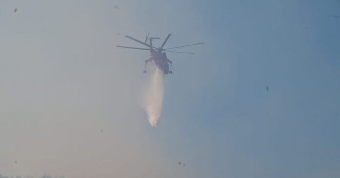 fotia-3-2-1200x630.jpg