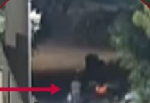 Φωτιά στην Άνοιξη: Καρέ – καρέ ο εμπρησμός από τον 50χρονο σε ξερόχορτα στην άκρη του δρόμου