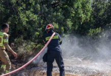Σε πύρινο κλοιό η χώρα με οκτώ περιοχές σε συναγερμό για νέες πυρκαγιές το επόμενο 24ωρο – Στάχτη 45.000 στρέμματα στην Κρήτη σε ένα διήμερο