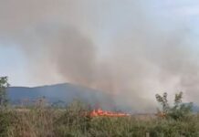 Ροδόπη: Φωτιά σε χαμηλή βλάστηση στην Εργάνη – Επιχειρούν και εναέρια μέσα