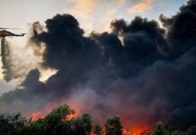Φωτιά στην Κοζάνη στην περιοχή Τραπεζίτσα – Εναέρια μέσα στο σημείο