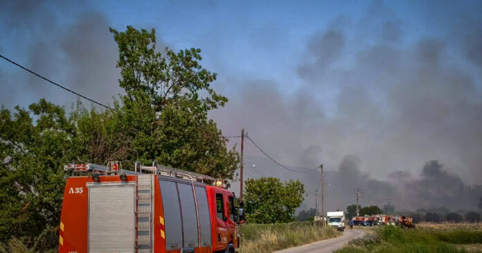 fwtia-eurok-1200x630.jpg