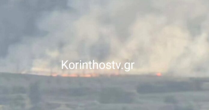 fwtia-korinthia-1-1200x630.jpg