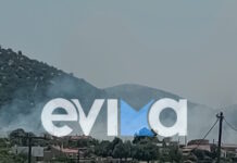 Φωτιά στο Αλιβέρι Εύβοιας: Ήχησε το 112 στην περιοχή Μηλάκι για «ετοιμότητα»