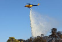 Φωτιά στην Κινέτα – Κινητοποίηση της Πυροσβεστικής