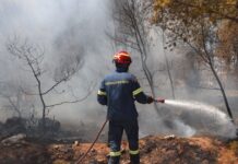Φωτιά στο Γαζί Ηρακλείου: Πνέουν ισχυροί άνεμοι που φτάνουν τα 7 μποφόρ