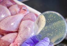 Λαμία: Επιβεβαιώθηκε το βακτήριο της σαλμονέλας σε παρτίδα συγκεκριμένης εταιρείας – Θετικοί δύο εργαζόμενοι
