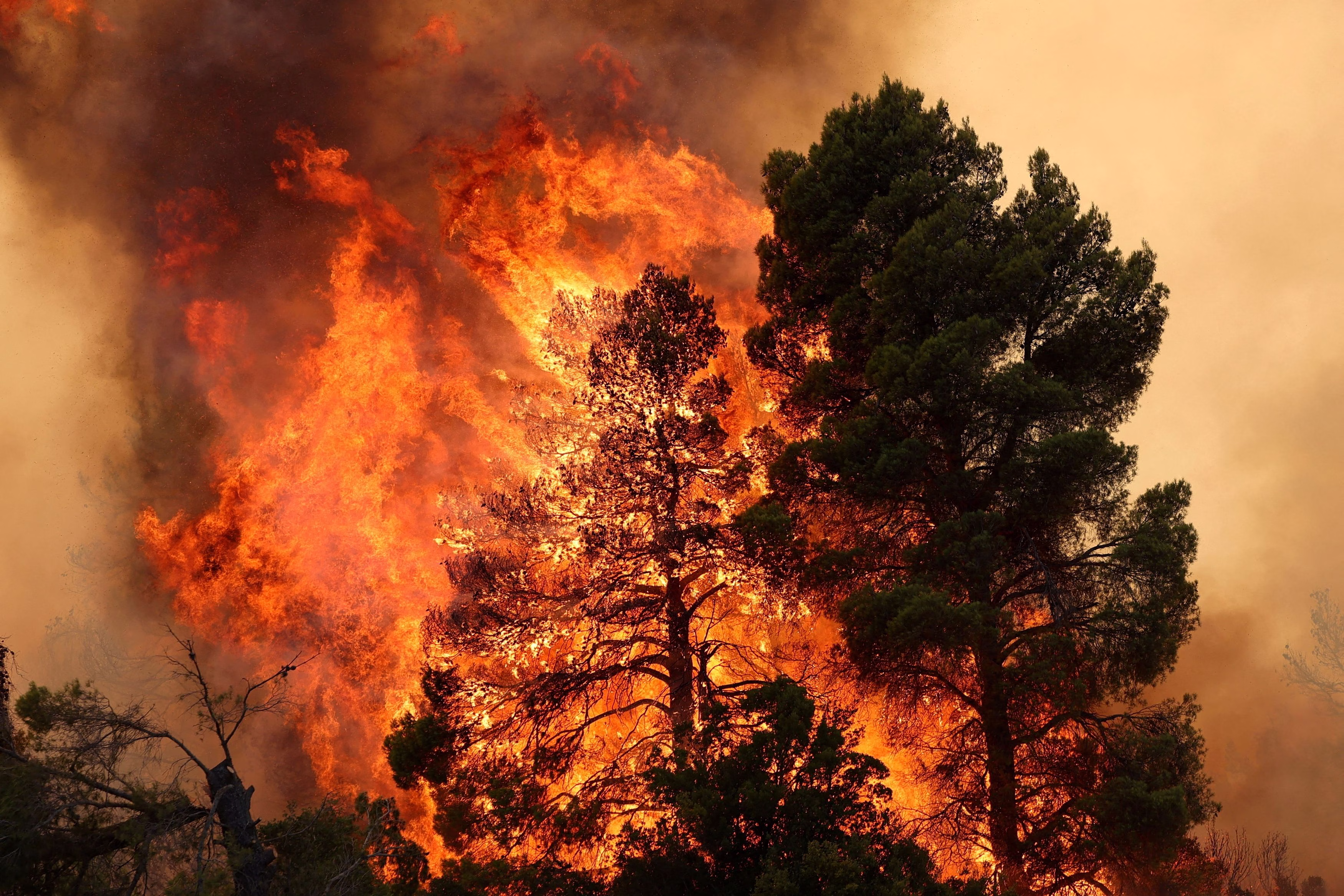 2026-08-02T205325Z_1735262934_RC2CQMA8UHF5_RTRMADP_5_EUROPE-WEATHER-GREECE-WILDFIRES.jpg