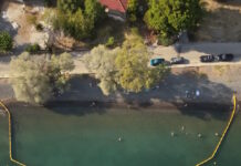 Εύβοια: Μπάνιο με πλωτά φράγματα για μωβ μέδουσες και τσούχτρες – «Ελπίζουμε να εξαφανιστούν»