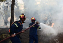 Φωτιά στην Ερμακιά Κοζάνης – Στη μάχη της κατάσβεσης και εναέρια μέσα