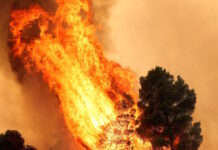 Καιρός «hot – dry – windy» τις επόμενες 48 ώρες: Αυξημένος ο κίνδυνος φωτιάς, συναγερμός σε 6 περιφέρειες