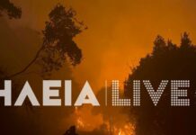 Φωτιά στην Ηλεία στην περιοχή στην Αλφειούσα: Ολονύχτια μάχη με τις φλόγες – Οι άνεμοι δυσκολεύουν το έργο κατάσβεσης