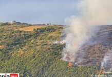 Φωτιά στην Κεφαλονιά: Συνελήφθη 44χρονος για εμπρησμό από πρόθεση – Είχε καταδικαστεί και στο παρελθόν