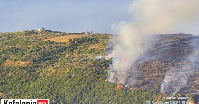 fotia-kefalonia2-1200x630.jpg