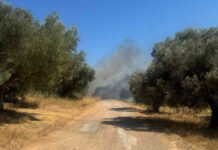 Φωτιά στο Πικέρμι: Μήνυμα του 112 για ετοιμότητα