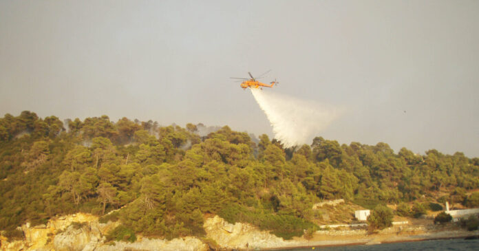 fotia-skyros-1200x630.jpg