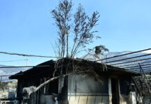 Φωτιές στην Ελλάδα: Ξεκινούν από σήμερα οι αιτήσεις για αποζημιώσεις στους πυρόπληκτους – Τα ποσά και τα δικαιολογητικά