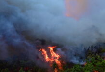 Ανεξέλεγκτη η φωτιά σε Αττική, Βοιωτία και Φθιώτιδα: Μάχη να μην καούν χωριά και σπίτια – Καίγεται η Κεφαλονιά, live όλες οι εξελίξεις