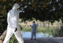 Ιός του Δυτικού Νείλου: Τα περισσότερα μολυσμένα κουνούπια έφεραν την έξαρση των κρουσμάτων