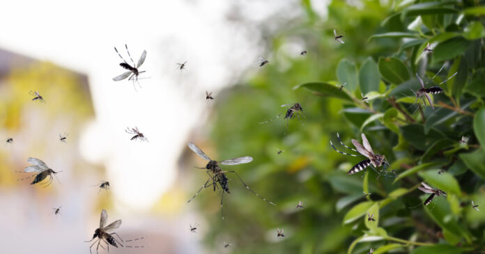 istock-1395629783-1200x630.jpg