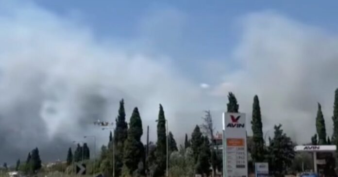 makyneia-giannis-salikis-1200x630.jpg