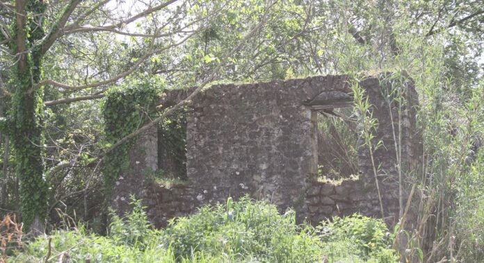 neromylos_ktima_papafoti_kalyvia_2.jpg