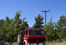 Φωτιά στη Νέα Πεντέλη: Οριοθετήθηκε μέσα σε 20 λεπτά – Ισχυρές δυνάμεις επιχείρησαν στο σημείο