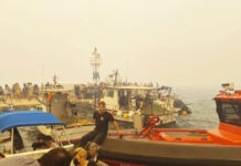 Πώς η Πυροσβεστική διέσωσε ανθρώπινες ζωές από την καταστροφική φωτιά στην Αττικοβοιωτία – Πάνω από 250 άτομα απομακρύνθηκαν διά θαλάσσης