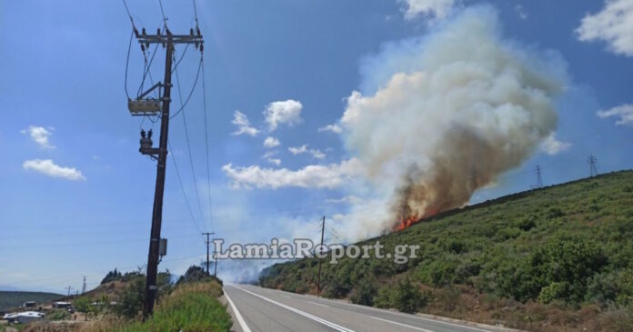 pyrkagia-kamelobrysi1-1200x630.jpg