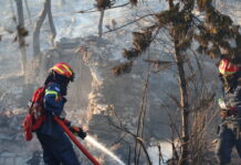 Σαλαμίνα: Συνελήφθη 49χρονος για πυρκαγιά από αμέλεια στο Αιάντειο