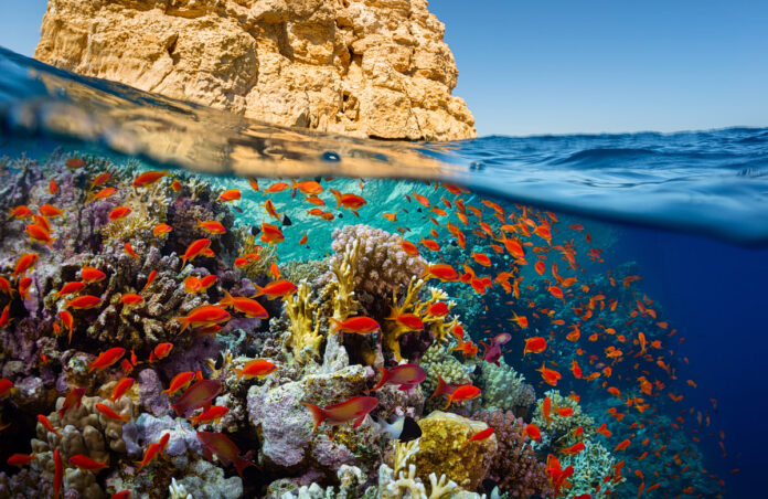 shutterstock_224716426-1200x779.jpg