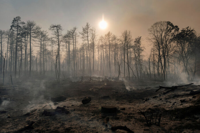 2026-09-01T100027Z_1112856923_RC2H2NASQPXA_RTRMADP_5_EUROPE-WEATHER-SERBIA-WILDFIRE.jpg