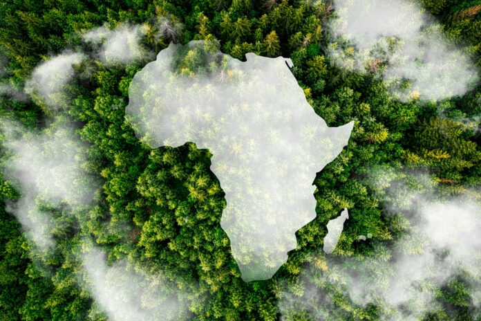 afriki.jpg