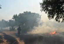 Φωτιά στο Πολυδάμειο Λάρισας: 3 αεροσκάφη και 1 ελικόπτερο στο σημείο