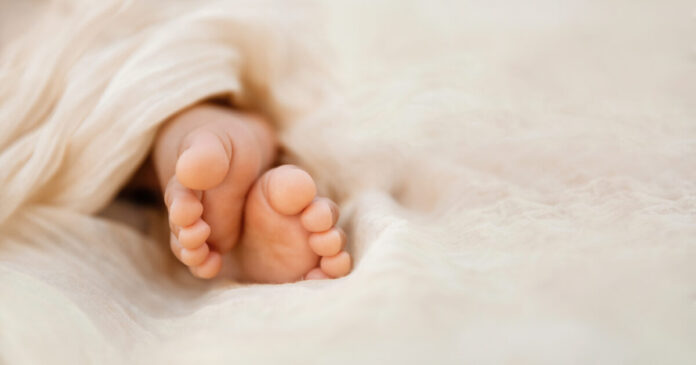istock-1455070461-1200x630.jpg