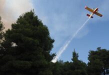 Φωτιά σε δασική έκταση στη Φούρκα Κόνιτσας: 3 εναέρια επιχειρούν στο μέτωπο