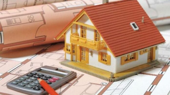 daneia11.jpg
