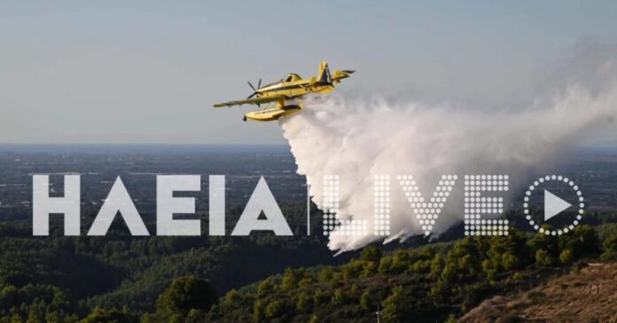 fwtia-ileia-1200x630.jpg