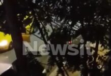 Νέα Ιωνία: «Του έπιασα τη μύτη για να αναγκαστεί να αναπνεύσει» – Πώς σώθηκε η οδηγός ταξί και η εικόνα σοκ με το κομμένο αυτί