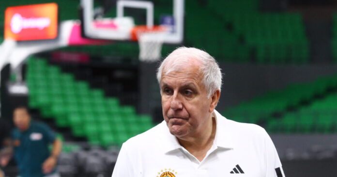 obradovic-2-1200x630.jpg