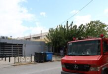 Έξι συλλήψεις για φωτιές από αμέλεια σε Ζάκυνθο, Φθιώτιδα, Τρίκαλα, Αργολίδα και Εύβοια
