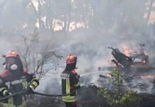 Φωτιά στην Αρκαδία στην περιοχή Βοσκίνα: Eπιχειρούν δύο αεροσκάφη