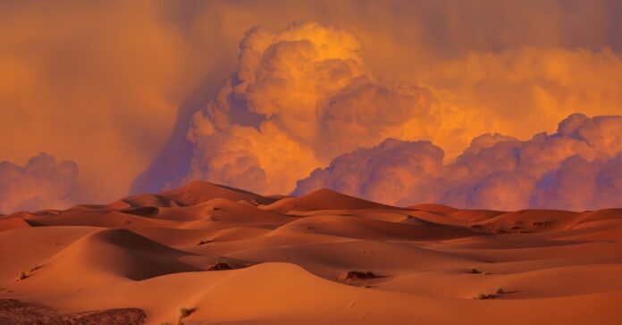 sahara.jpg